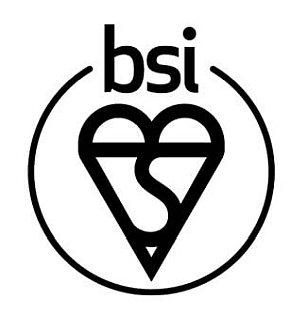 BSI logo